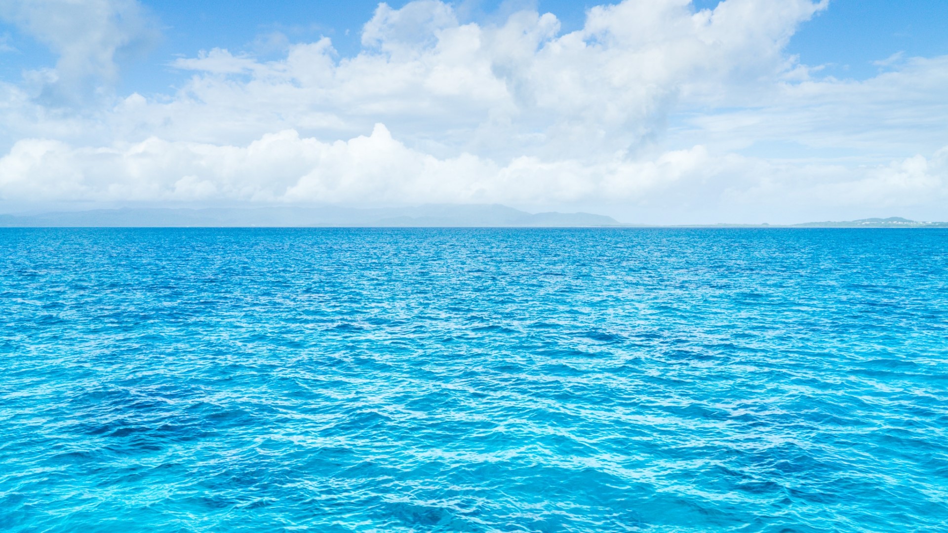 ペット供養の方法：散骨