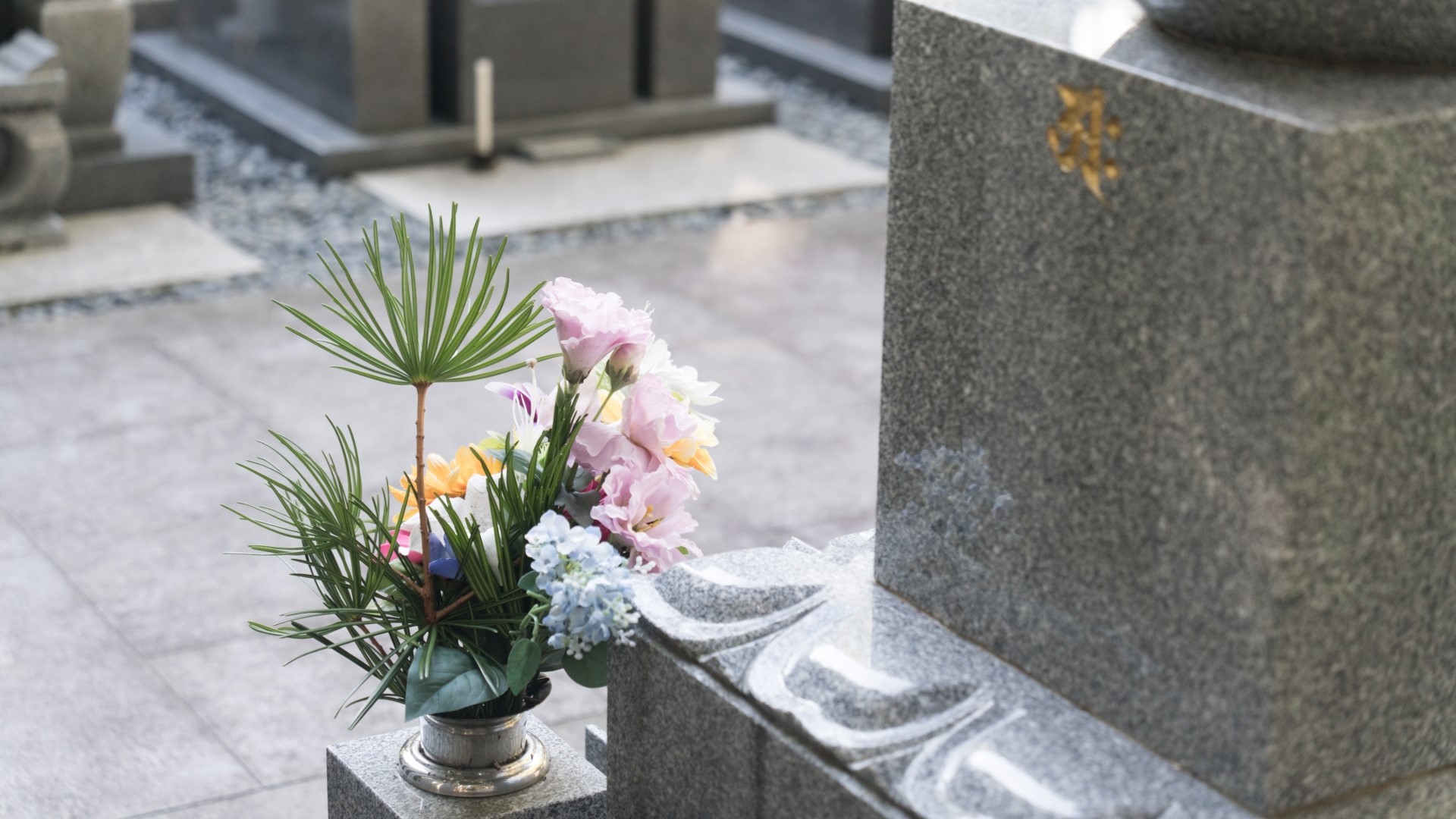 ペット供養の方法：霊園<