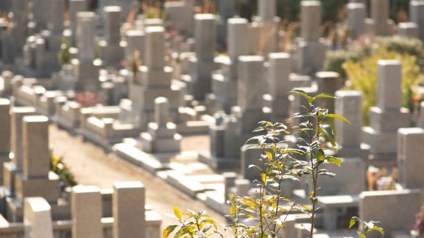 墓じまいをする理由